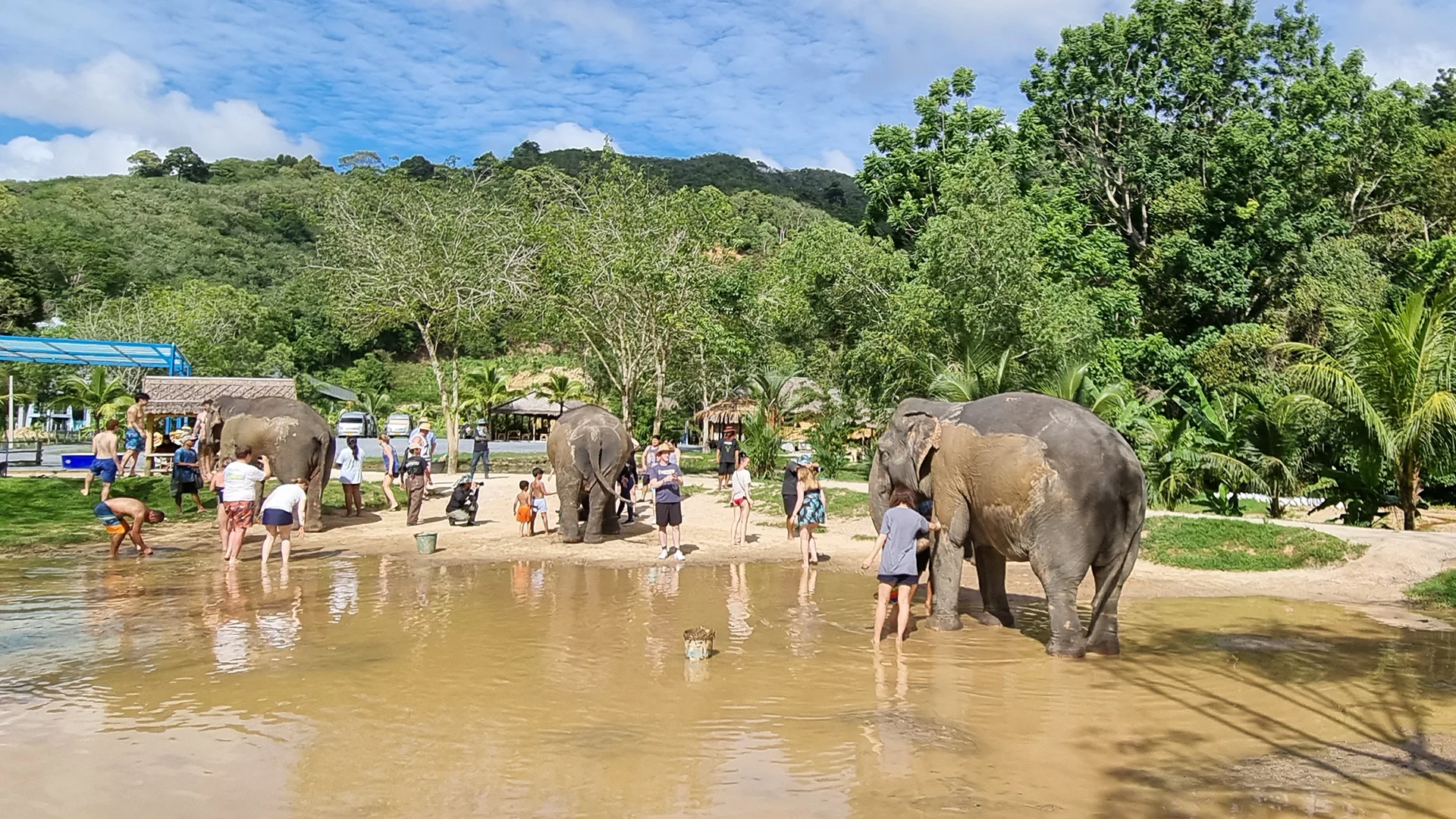 Elefanten Schutzgebiete | Sehenswürdigkeiten auf Phuket