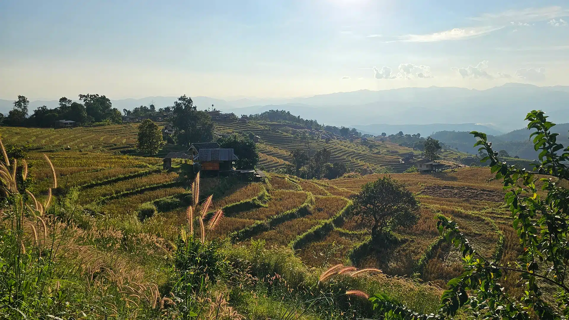 Header | Sehenswürdigkeiten im Doi Inthanon Nationalpark 3