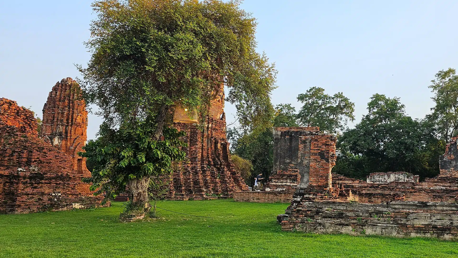 Wat Mahathat 14 | Sehenswürdigkeiten in Ayutthaya