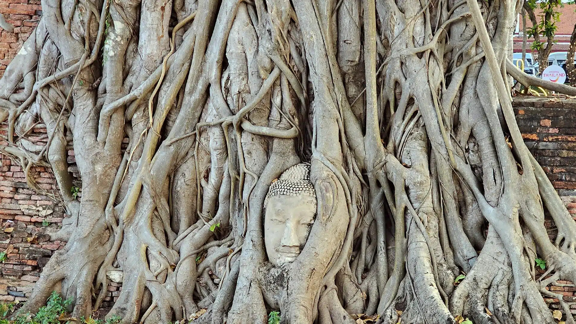 Wat Mahathat 6 | Sehenswürdigkeiten in Ayutthaya