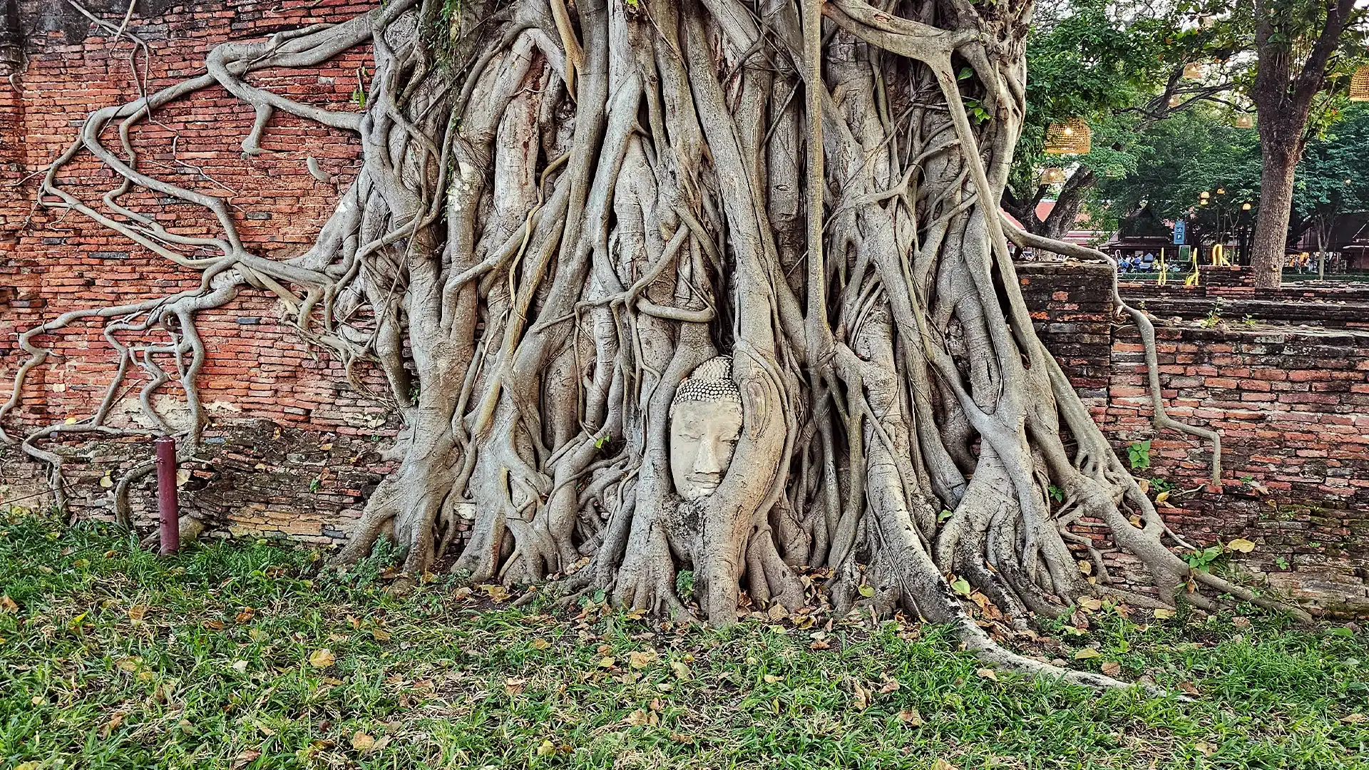 Wat Mahathat 7a | Sehenswürdigkeiten in Ayutthaya